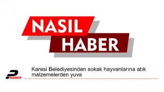 Karesi Belediyesinden sokak hayvanlarına atık malzemelerden yuva