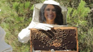 Propolis üretiminde yerli üreticinin teşvik edilmesi gerekiyor