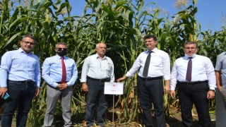 Trakya çiftçisinin yerli tohumlara yöneldiği belirtildi